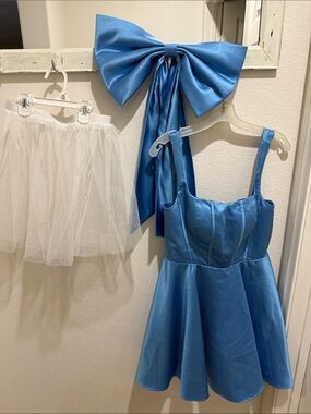 Blue Satin Princess Dress & White Tulle Skirt Costume / wedding dress